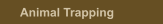 Animal Trapping